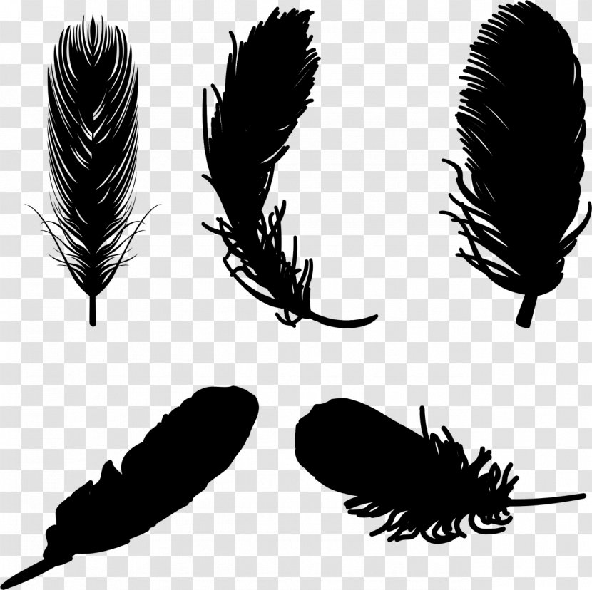 Feather Eyebrow Vector Graphics - Quill - Pen Transparent PNG