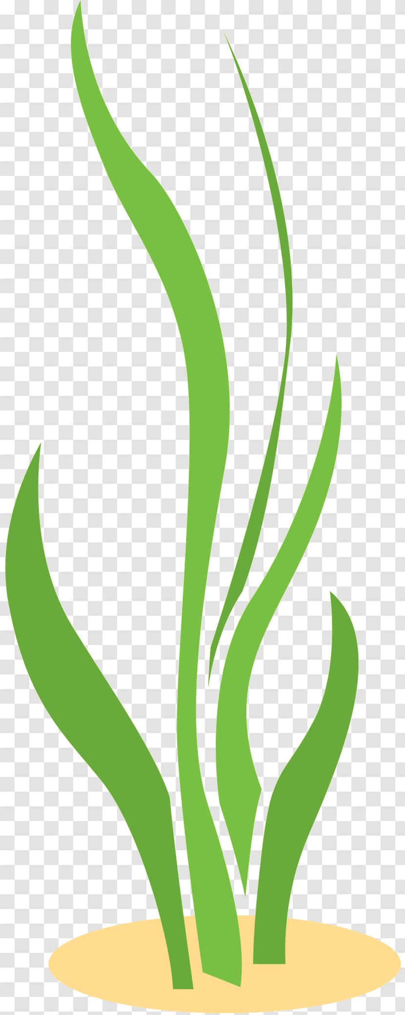 Leaf Clip Art Plant Stem Line Commodity - Flower - Plants Transparent PNG