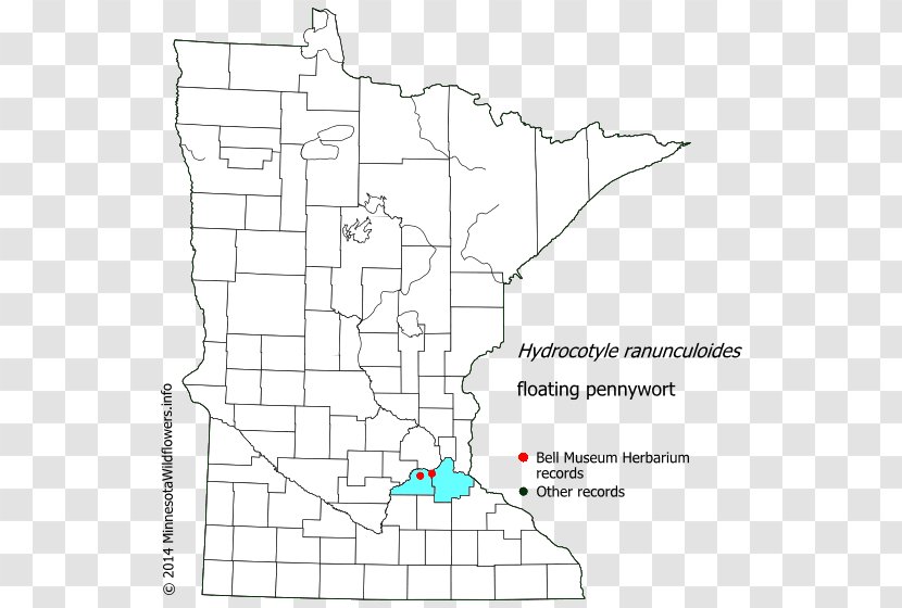 Douglas County, Minnesota Carver Murray Steele Lake - Dodge County - Floating Petals Transparent PNG