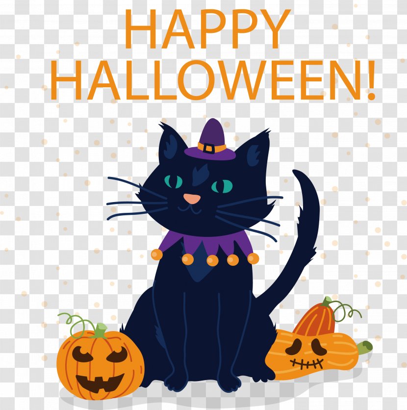 Black Cat Witch Hazel Kitten Halloween Transparent PNG