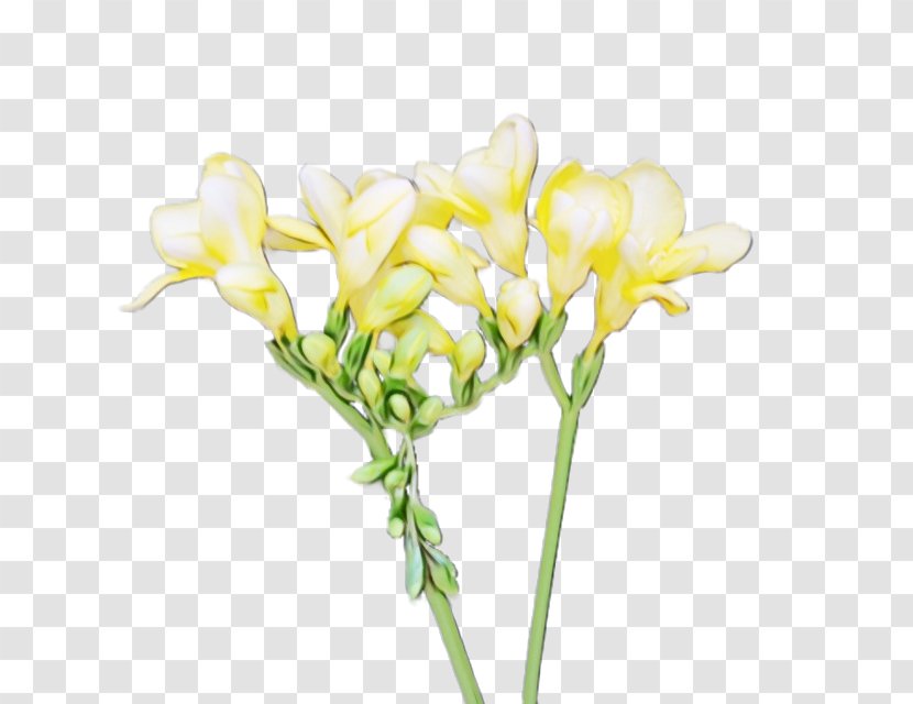 Artificial Flower - Cut Flowers - Plant Stem Transparent PNG