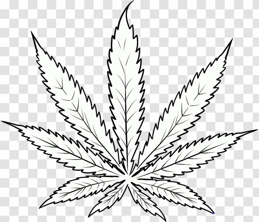 Cannabis Smoking Drawing Clip Art - Plant - Marijuana Transparent PNG