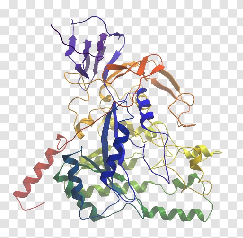 Floral Design NTT Data Engineering Systems Corporation Structure Dihydropyrimidinase-like 4 - Tree - Poly Adpribose Polymerase Transparent PNG