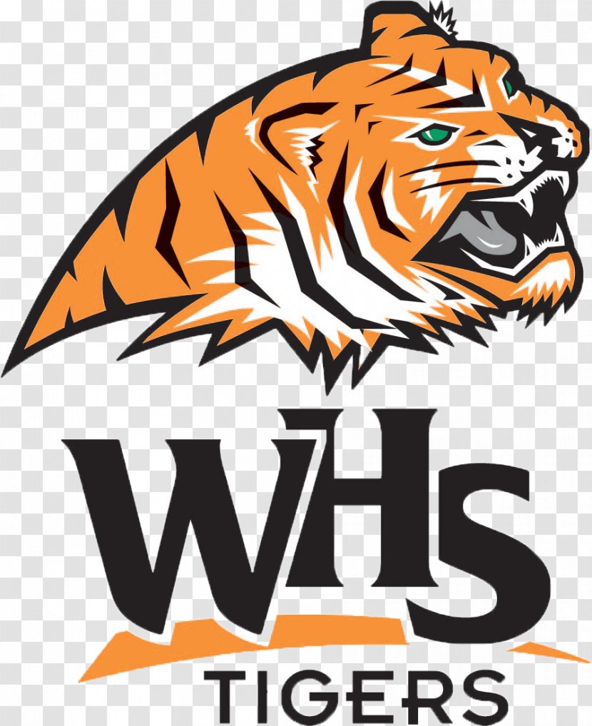 Tiger Woodlake High School National Secondary University Of Memphis - Cat Like Mammal Transparent PNG