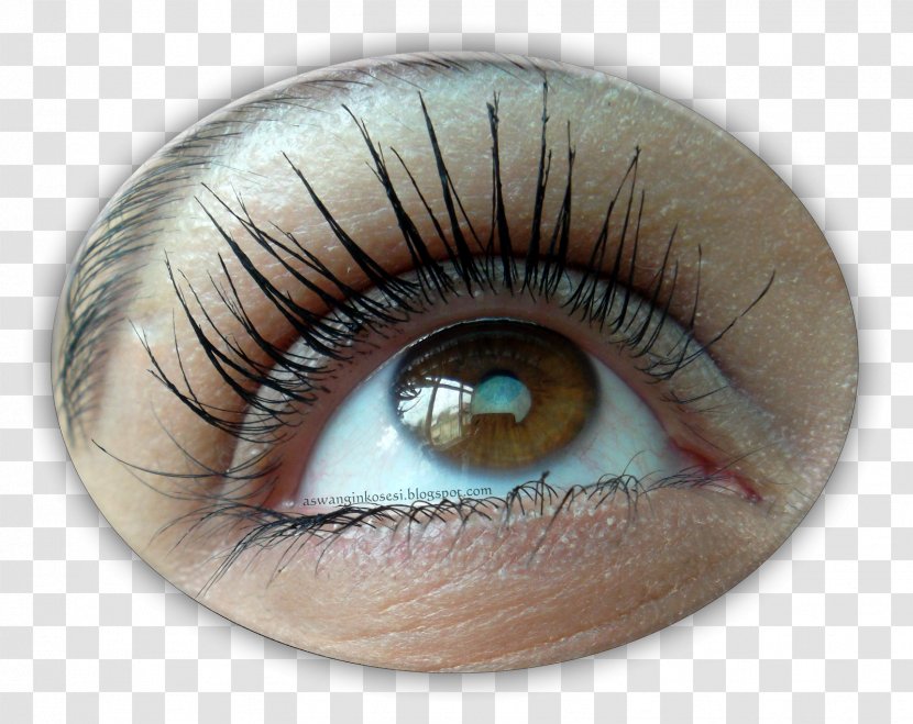 Eyelash Extensions Mascara Eye Shadow Maybelline - Heart - Maskara Transparent PNG