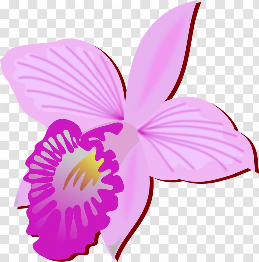 Clip Art Openclipart Free Content Vector Graphics - Petal - Orchidee Symbol Transparent PNG