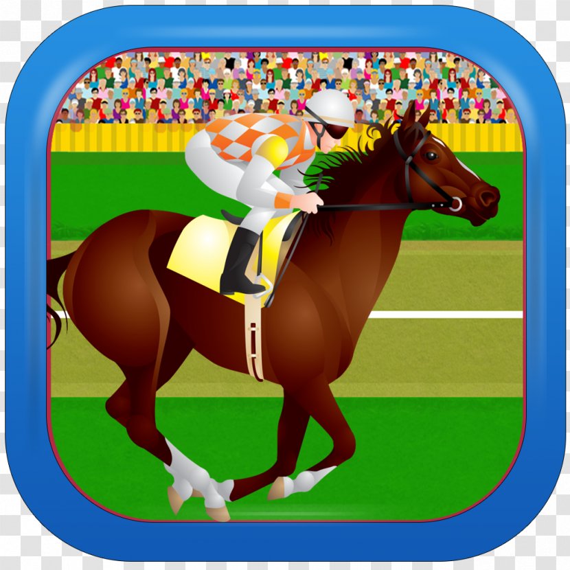 Stallion Jockey Horse Trainer Tack Equestrian - Racing Transparent PNG