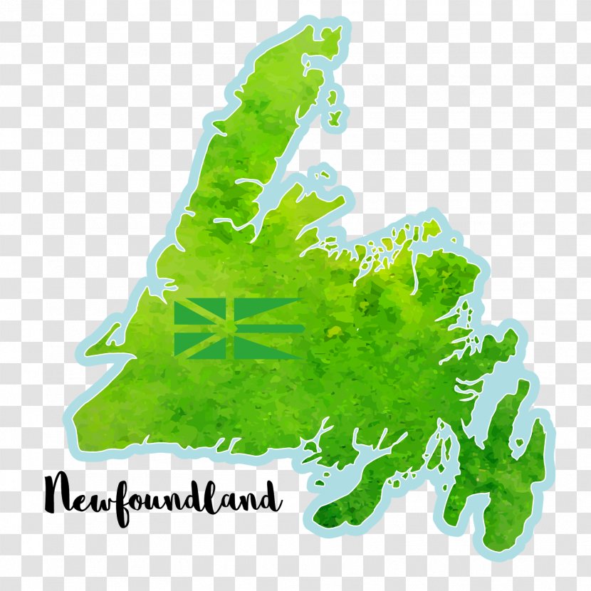 Newfoundland And Labrador Leaf Tree Font Transparent PNG
