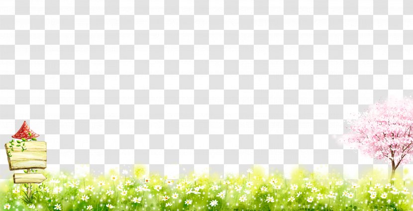 Nature Download Wallpaper - Meadow - Spring Grass Transparent PNG