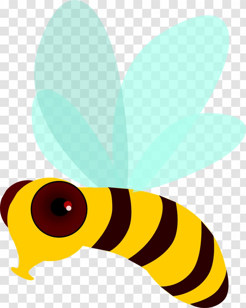 Bee Flight Butterfly Clip Art - Moths And Butterflies - Flying Transparent PNG