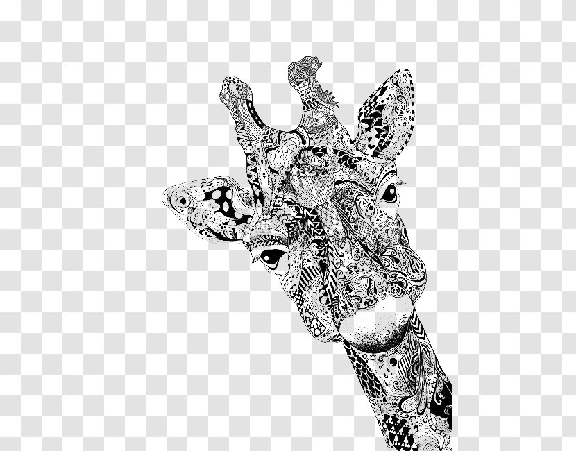 Giraffe Drawing Portrait Doodle Sketch Transparent PNG