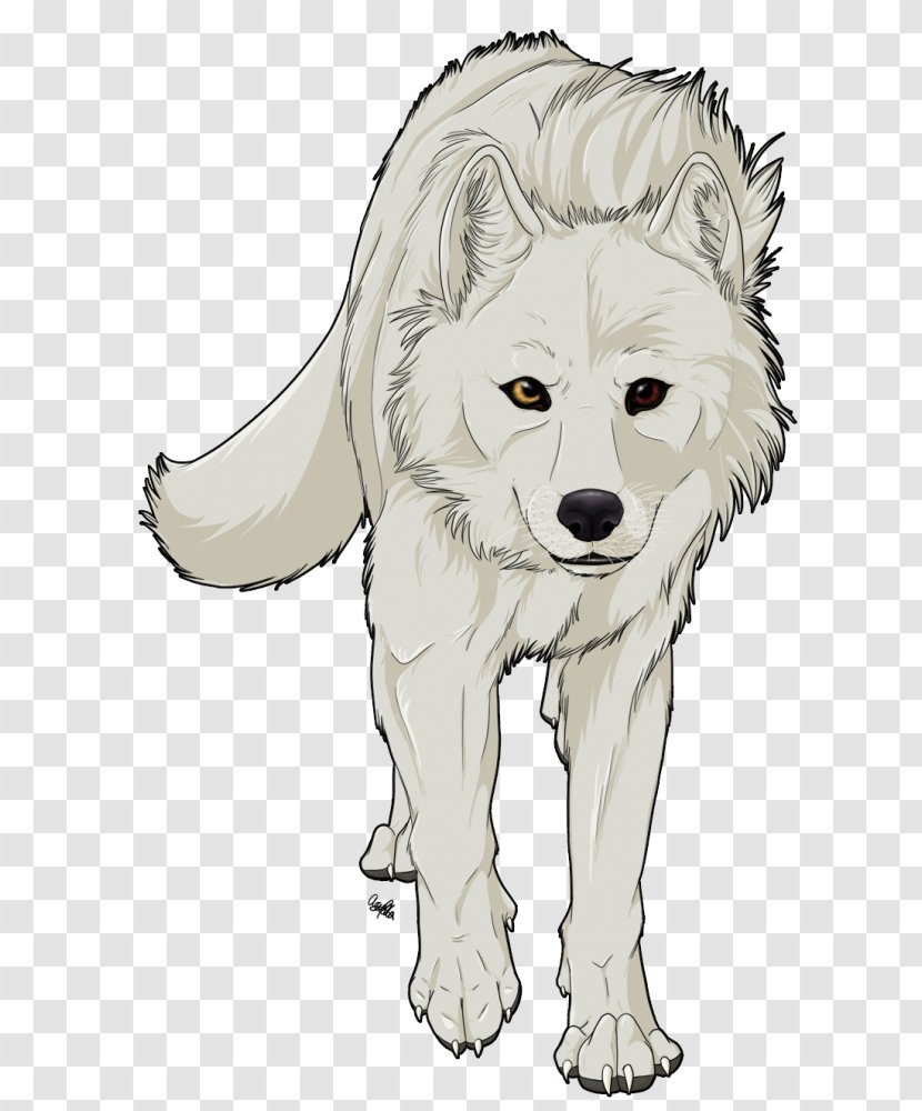 Gray Wolf Cartoon Drawing Jackal - Tail Transparent PNG