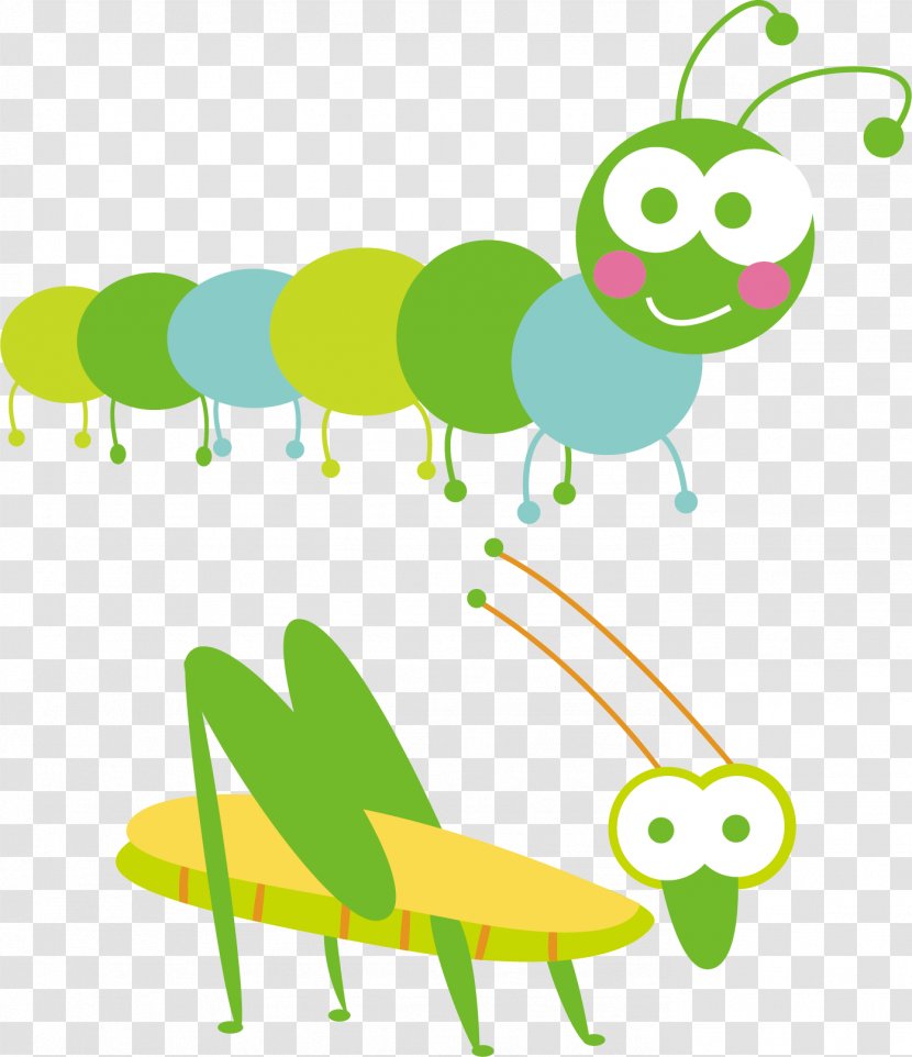 Cartoon Graphic Design Clip Art - Area - Insect Material Transparent PNG