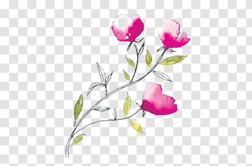 Garden Roses Floral Design Marriage Wedding Planner - Plant Stem Transparent PNG