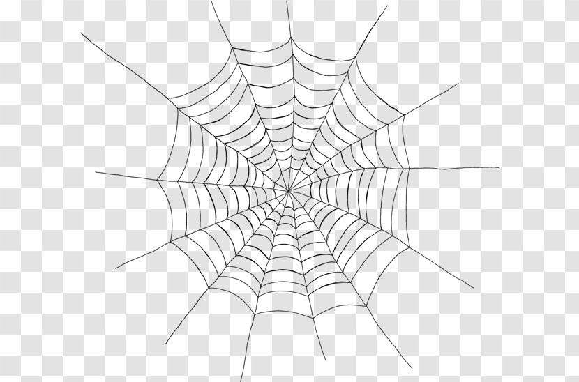 Spider Web Clip Art - Tree Transparent PNG