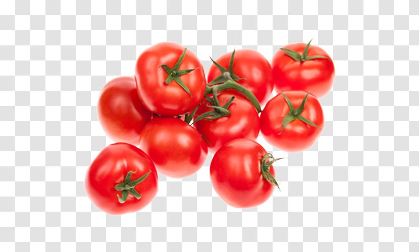 Cherry Tomato Vegetable Stock Photography Clip Art - Malpighia Transparent PNG