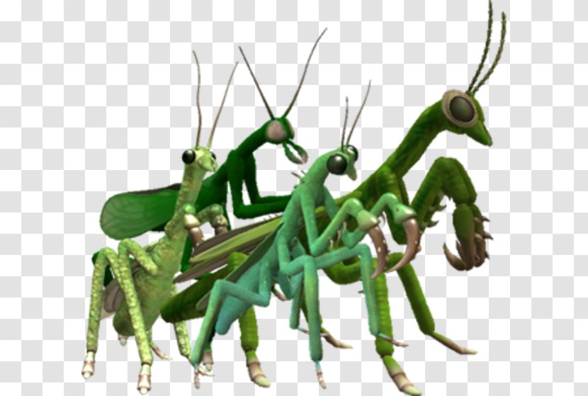 Mantis Spore Creatures Creature Creator Spore: Galactic Adventures Hero - Arthropod - Insect Transparent PNG