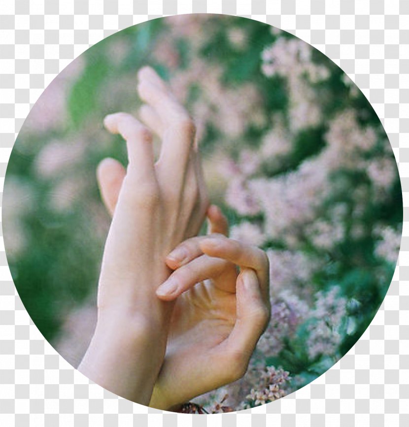 Thumb - Tree - Healing Transparent PNG