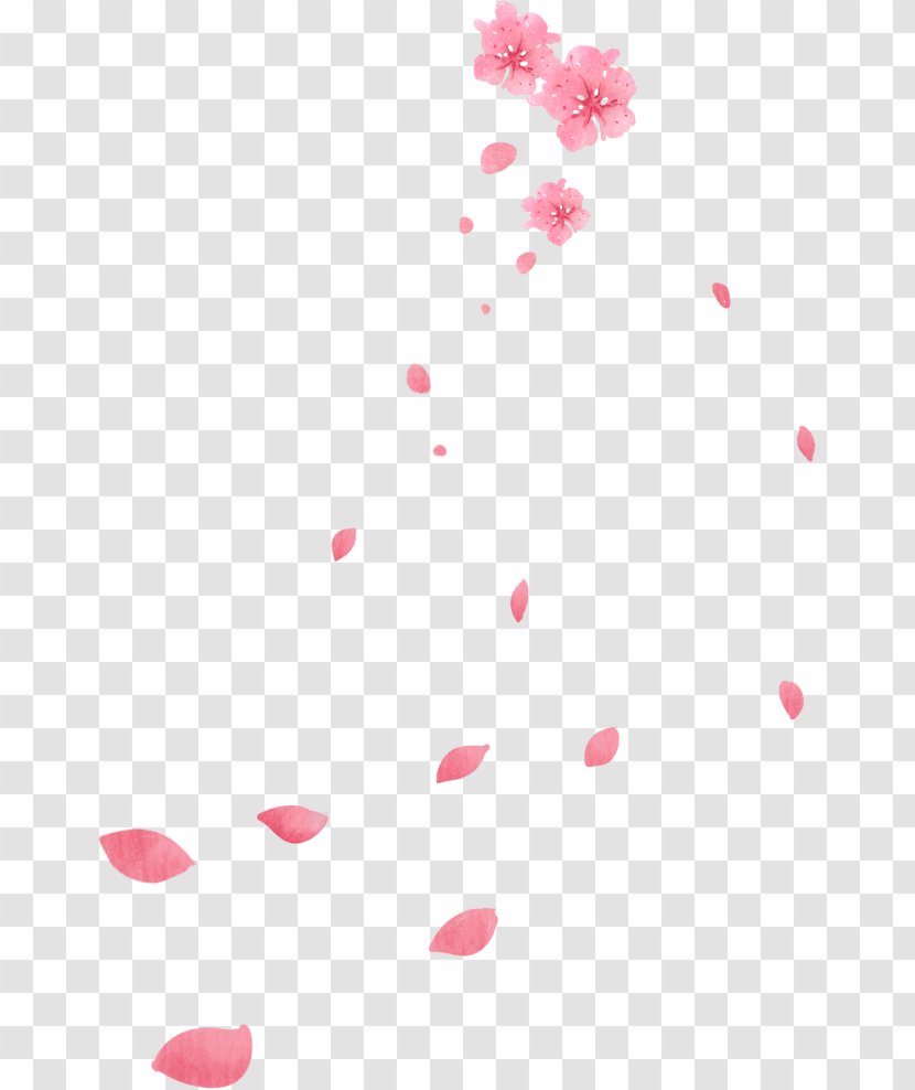 RGB Color Model Red - Flower Petals Transparent Transparent PNG
