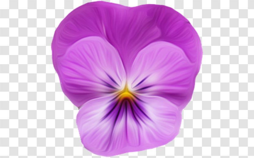 Violet Clip Art - Petal Transparent PNG