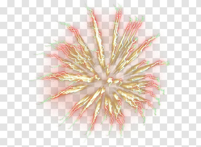 Petal - Flower - Fireworks HD Material Transparent PNG