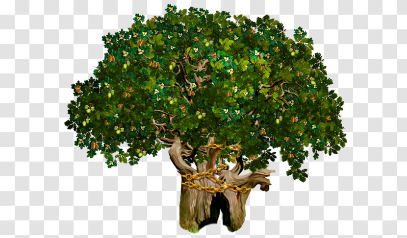 Край лукомор'я дуб зелений У лукоморья--- Ruslan And Ludmila Tree Fairy Tale Transparent PNG