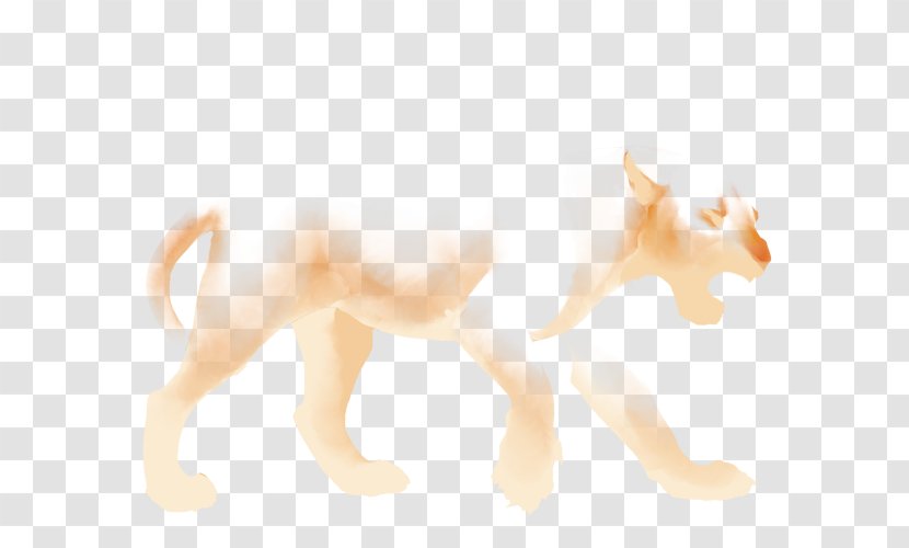 Lion Dog Cat Canidae Snout - Organism Transparent PNG