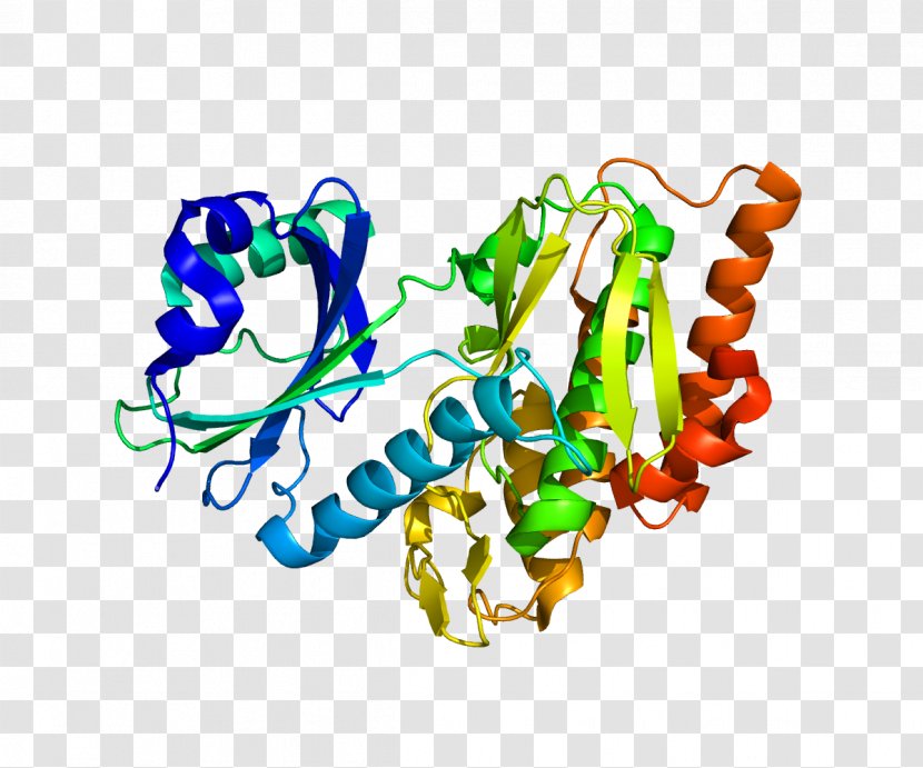 Histone H1 Code Nucleosome Wikipedia - Frame - Cartoon Transparent PNG