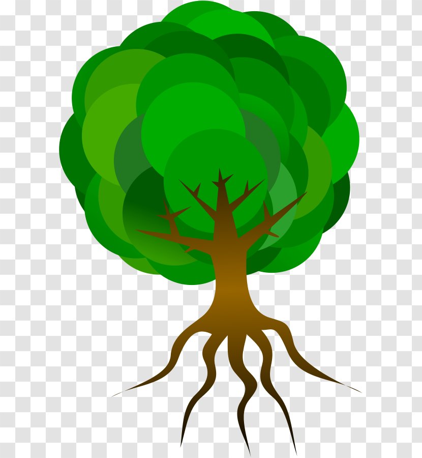 Tree Root Clip Art - Insect - Free Vector Transparent PNG