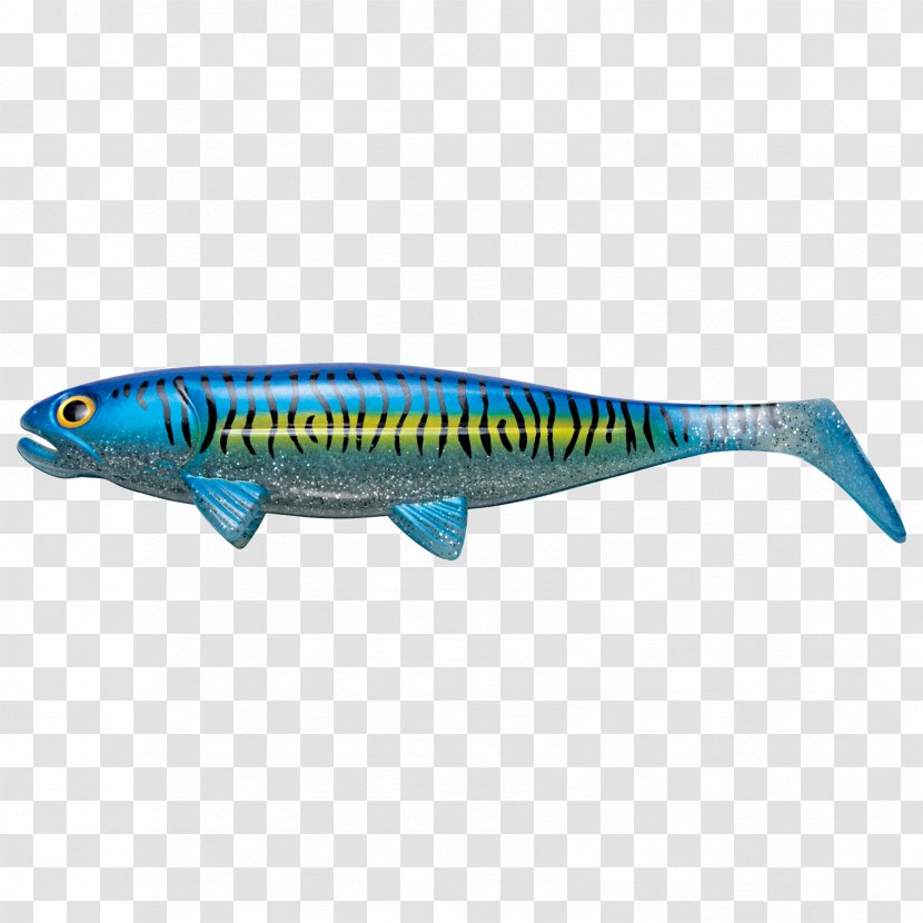 Sardine Fiskedags.nu Oily Fish Mackerel - Saltwater - Marine Biology Transparent PNG