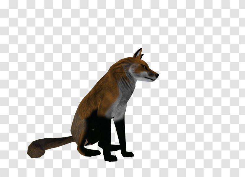 Red Fox Fur Snout Wildlife News - Dog Like Mammal - Sale Three-dimensional Characters Transparent PNG