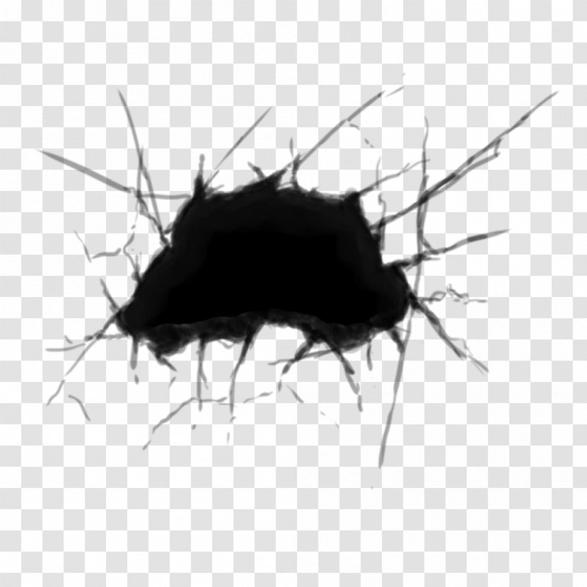 Beetle Graphics Concept Art Two-dimensional Space Draw Ever Nearer - Cartoon - 2d Sprite Transparent PNG