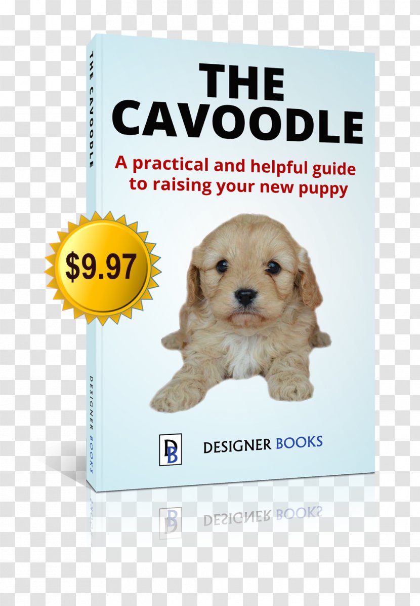 Puppy Cavapoo Dog Breed Poodle Labradoodle - Breeder Transparent PNG
