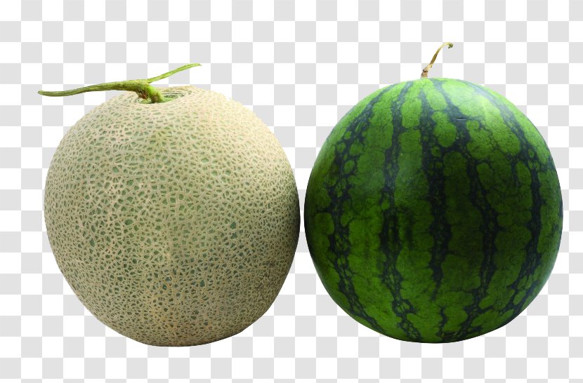 Honeydew Cantaloupe Watermelon Galia Melon Hami - And Transparent PNG