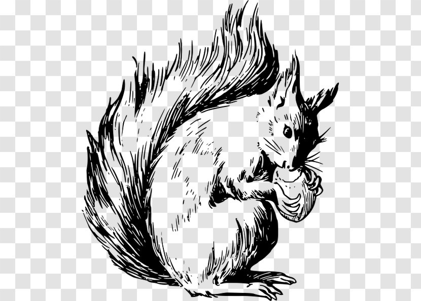 Tree Squirrel Chipmunk Drawing Clip Art - Norway Flying Transparent PNG