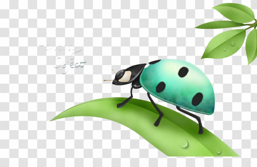 Cartoon Illustration - Invertebrate - Beetle Transparent PNG