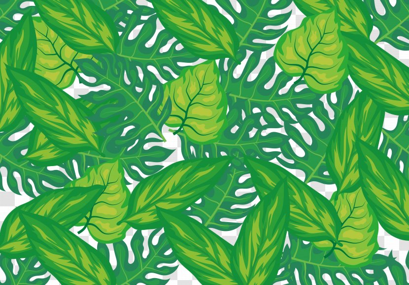 Leaf Herbalism Wall Decal Pattern - Green - Wallpaper Fresh Strange Jungle Transparent PNG