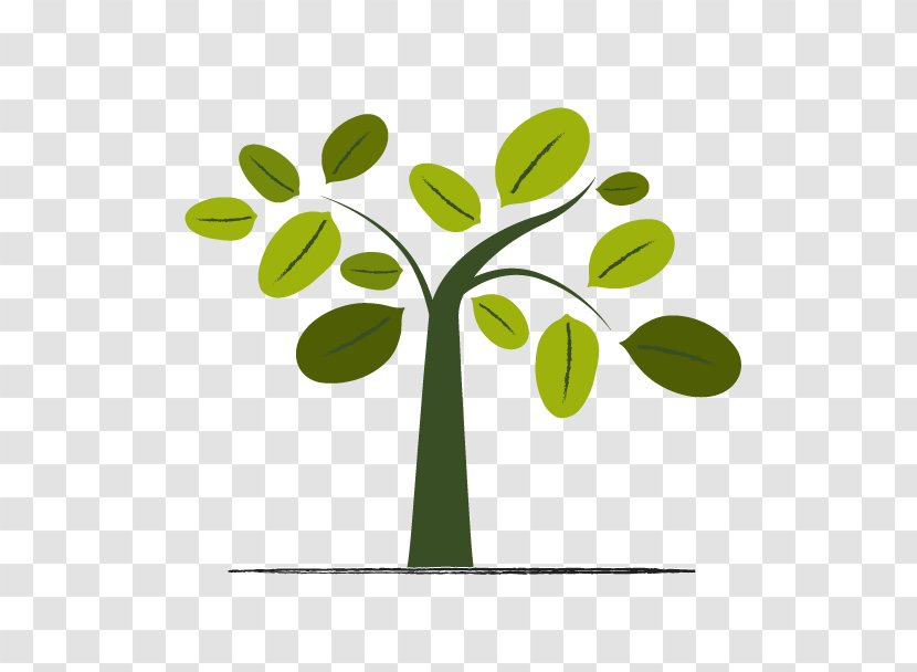 Royalty-free Tree - Green Transparent PNG