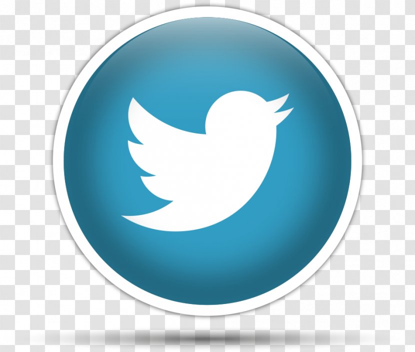 Social Media Logo - Sky Transparent PNG