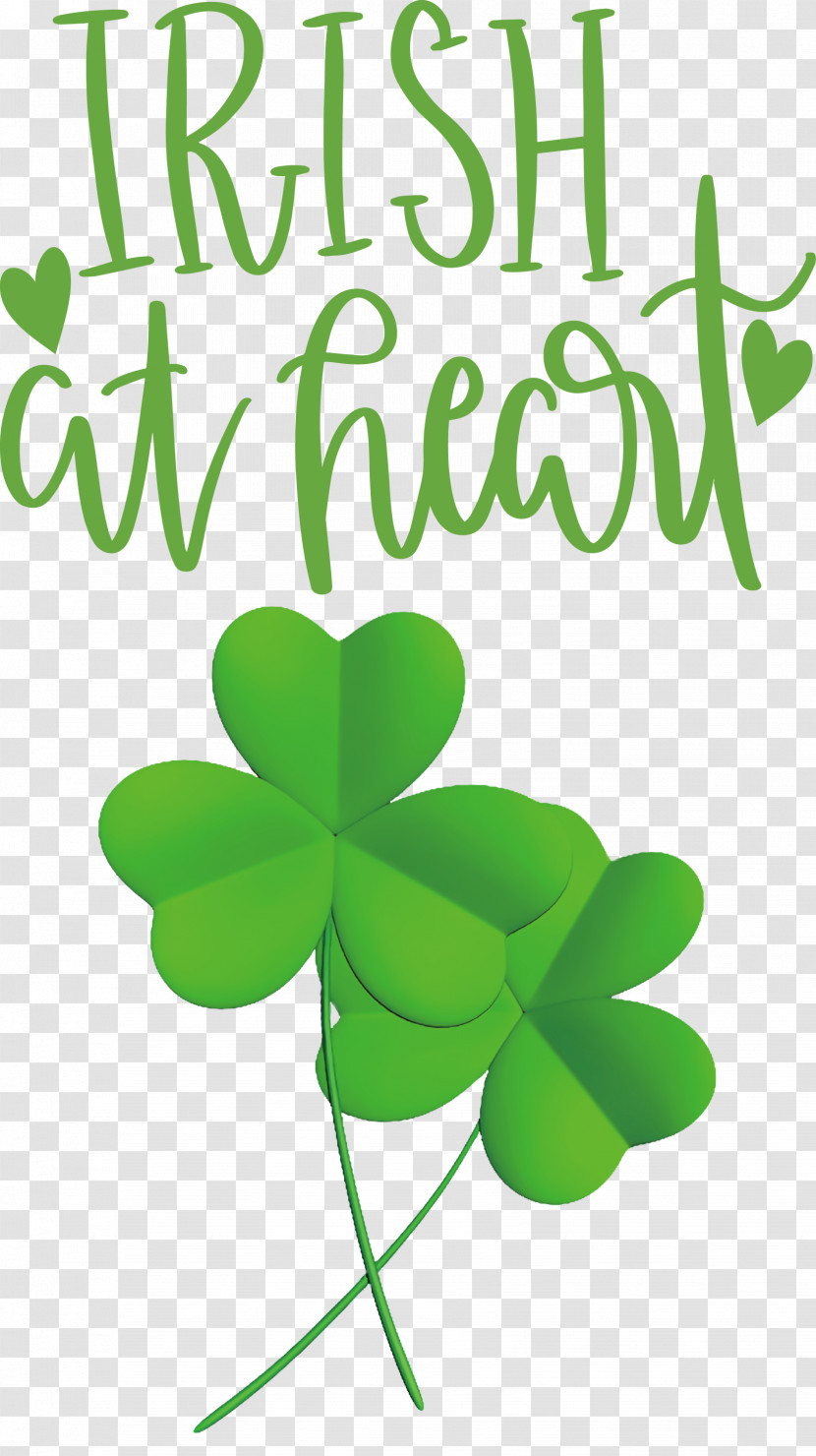 Shamrock Irish Saint Patrick Transparent PNG