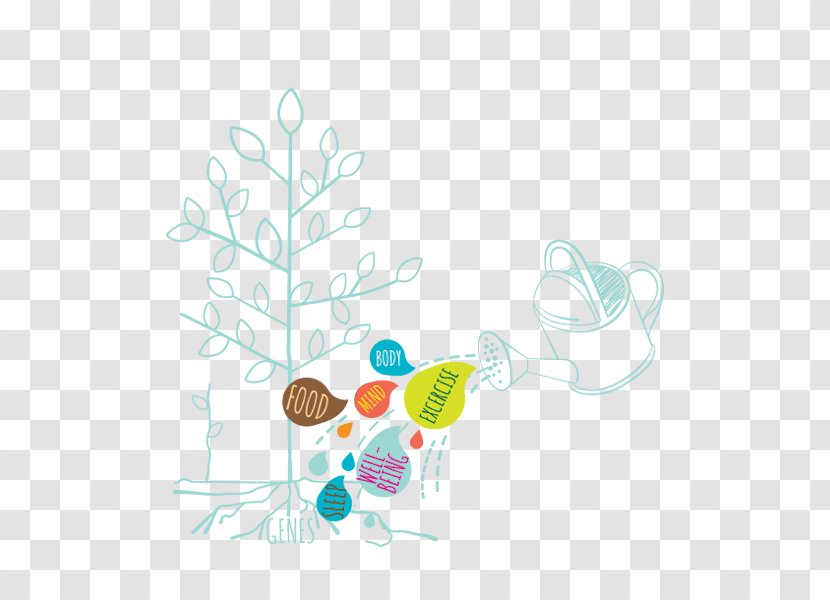 Healthy Food - Dieting - Drawing Plant Transparent PNG