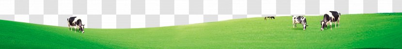 Artificial Turf Light Meadow Lawn Energy - Creative Milk Ranch Transparent PNG