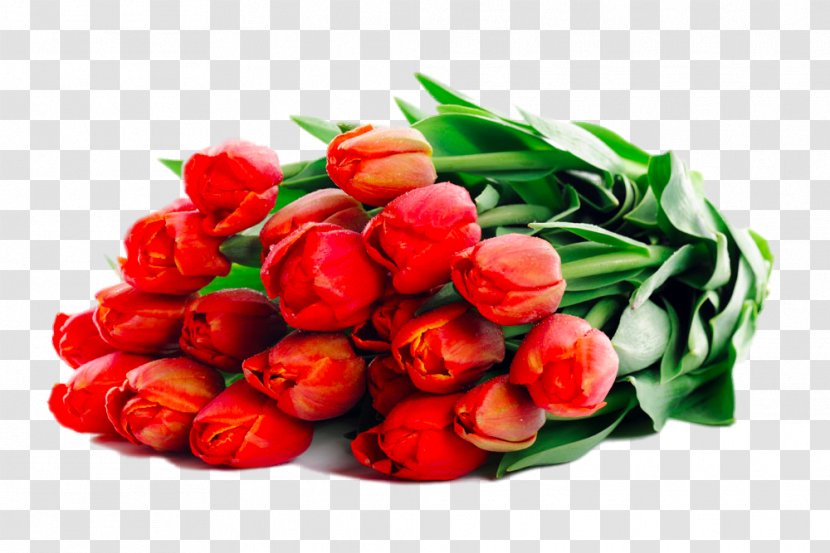Flower Bouquet Tulip Garden Roses Wedding - Lily Family - Of Red Flowers Transparent PNG