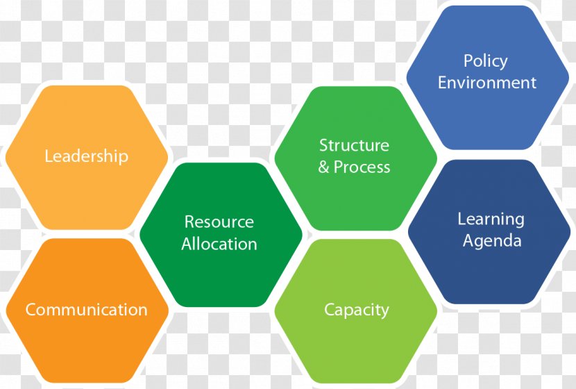 Innovation Organizational Culture Management - Diagram - Business Transparent PNG