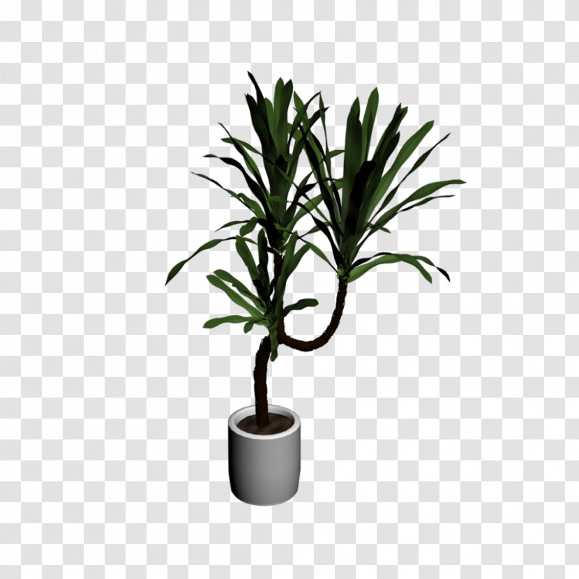 Houseplant Tree Flowerpot Room - Cat Palm Transparent PNG