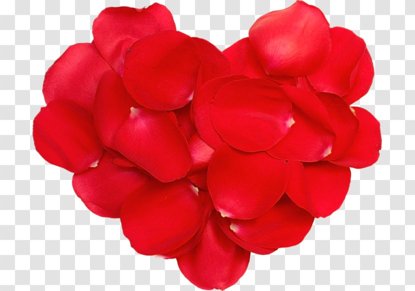 Valentine's Day Diary Blog LiveInternet Clip Art - Red Transparent PNG