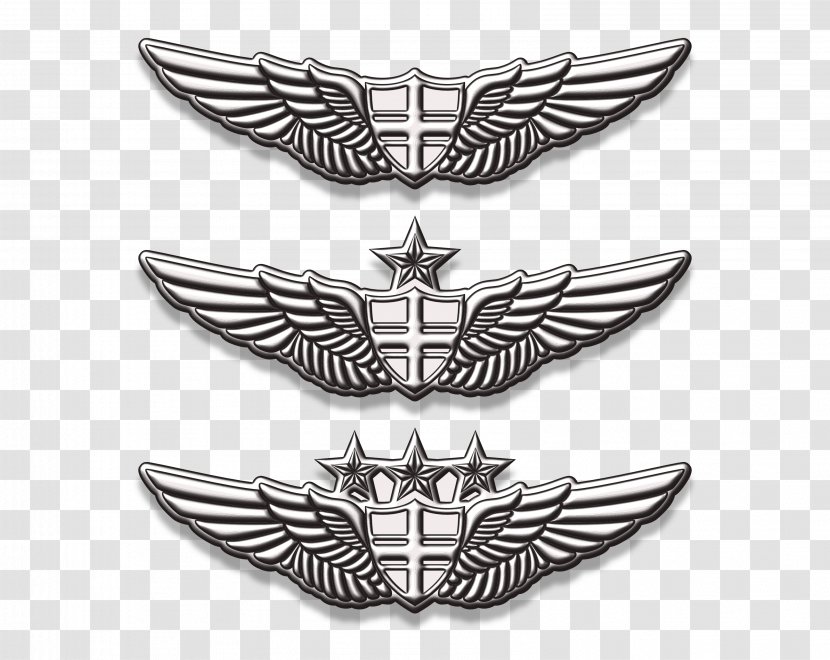 Emblem Badge - Aviation Wings Pin Transparent PNG