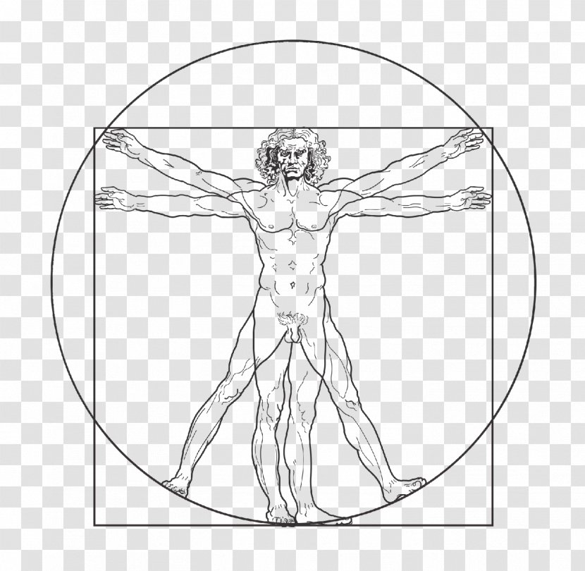 Vitruvian Man Drawing Royalty-free - Heart - Human Body Transparent PNG
