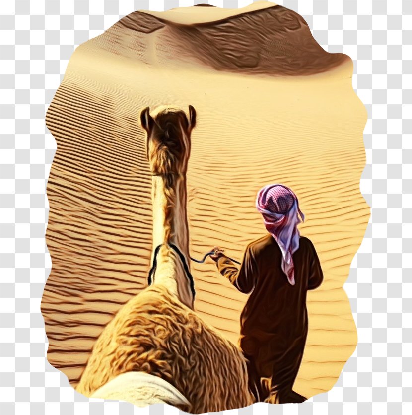 Arabia Horizons Tours - Arabian Camel - JBR Kiosk Photograph Waldorf Astoria Image Transparent PNG