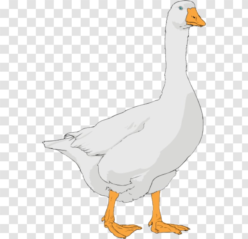 Goose Clip Art Openclipart Free Content Image - Water Bird Transparent PNG